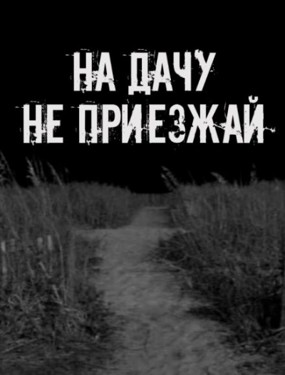 На дачу не приезжай! Слушать аудио книги онлайн без регистрации полностью бесплатно - knigavkarmane.net