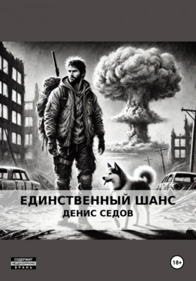Единственный шанс - Денис Седов Слушать аудио книги онлайн без регистрации полностью бесплатно - knigavkarmane.net