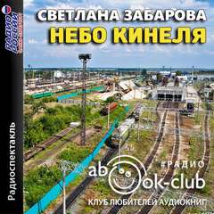 Небо Кинеля - Светлана Забарова Слушать аудио книги онлайн без регистрации полностью бесплатно - knigavkarmane.net