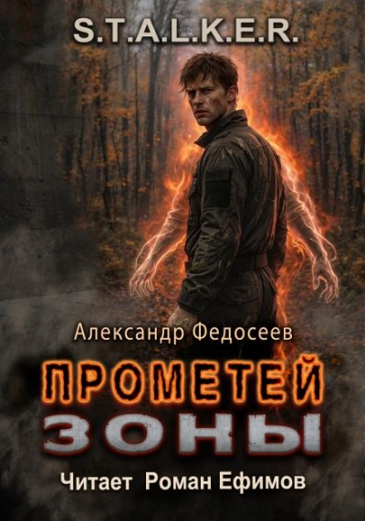 S.T.A.L.K.E.R. Прометей Зоны - Александр Федосеев Слушать аудио книги онлайн без регистрации полностью бесплатно - knigavkarmane.net