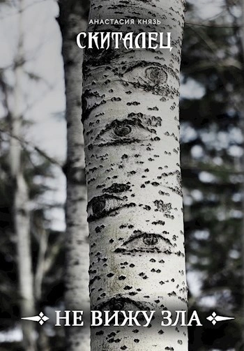 Не вижу зла - Анастасия Князь Слушать аудио книги онлайн без регистрации полностью бесплатно - knigavkarmane.net