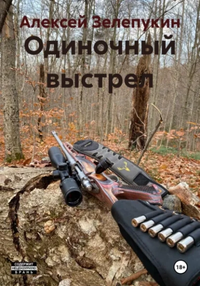 Одиночный выстрел - Алексей Зелепукин Слушать аудио книги онлайн без регистрации полностью бесплатно - knigavkarmane.net