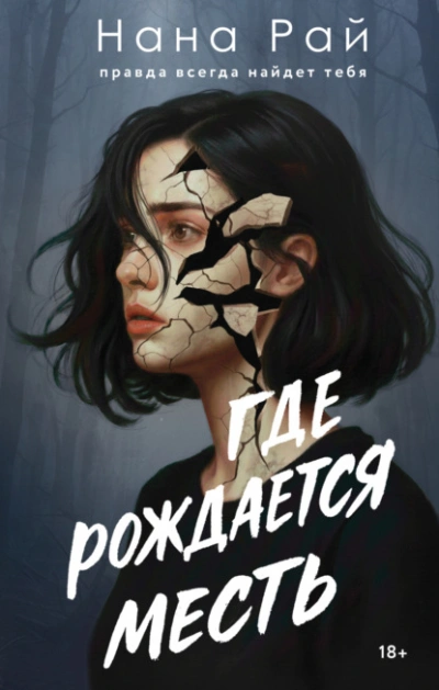 Где рождается месть - Нана Рай Слушать аудио книги онлайн без регистрации полностью бесплатно - knigavkarmane.net