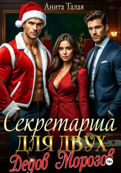 Секретарша для двух Дедов Морозов - Анита Талая Слушать аудио книги онлайн без регистрации полностью бесплатно - knigavkarmane.net