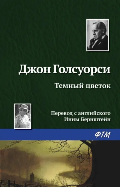 Темный Цветок - Джон Голсуорси Слушать аудио книги онлайн без регистрации полностью бесплатно - knigavkarmane.net
