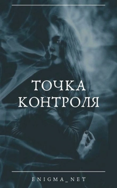 Точка контроля - Enigma_net Слушать аудио книги онлайн без регистрации полностью бесплатно - knigavkarmane.net