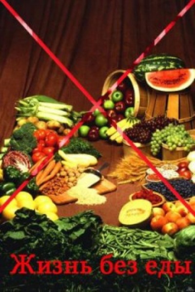 Жизнь без еды - Йоахим Вердин Слушать аудио книги онлайн без регистрации полностью бесплатно - knigavkarmane.net