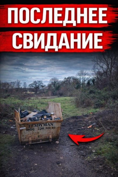 Исчезновение, которое потрясло Британию Слушать аудио книги онлайн без регистрации полностью бесплатно - knigavkarmane.net