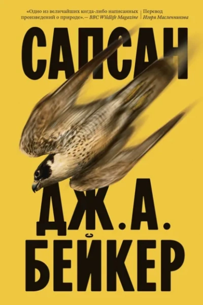 Сапсан - Джон Алек Бейкер Слушать аудио книги онлайн без регистрации полностью бесплатно - knigavkarmane.net
