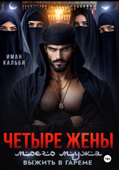 Четыре жены моего мужа. Выжить в гареме - Иман Кальби Слушать аудио книги онлайн без регистрации полностью бесплатно - knigavkarmane.net