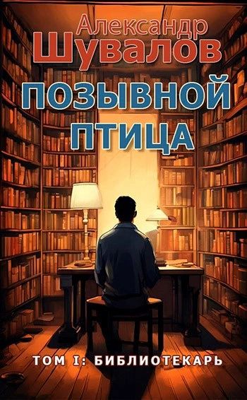 Библиотекарь - Александр Шувалов Слушать аудио книги онлайн без регистрации полностью бесплатно - knigavkarmane.net