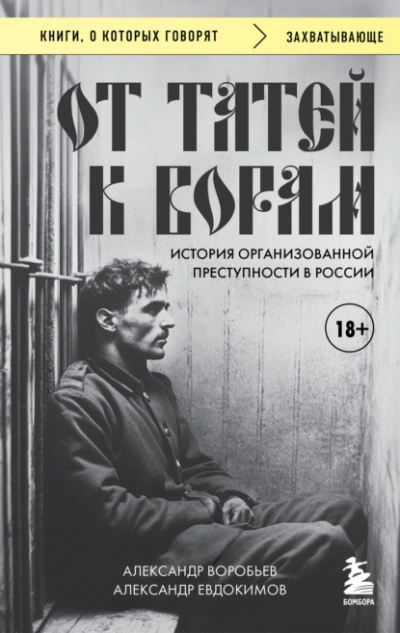 От татей к ворам. История организованной преступности в России - Александр Воробьев, Александр Евдокимов Слушать аудио книги онлайн без регистрации полностью бесплатно - knigavkarmane.net
