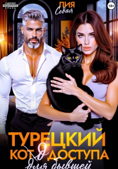 Турецкий код доступа для бывшей - Лия Седая Слушать аудио книги онлайн без регистрации полностью бесплатно - knigavkarmane.net