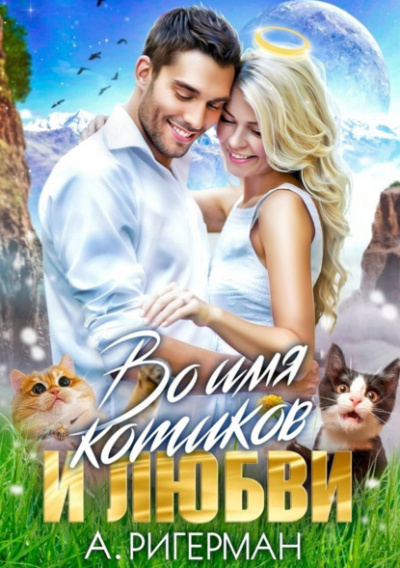 Во имя котиков и любви - Анастасия Ригерман Слушать аудио книги онлайн без регистрации полностью бесплатно - knigavkarmane.net
