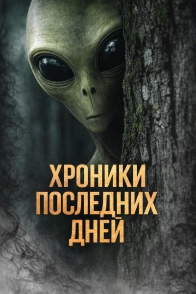 Хроники последних дней - Катя Михалина Слушать аудио книги онлайн без регистрации полностью бесплатно - knigavkarmane.net