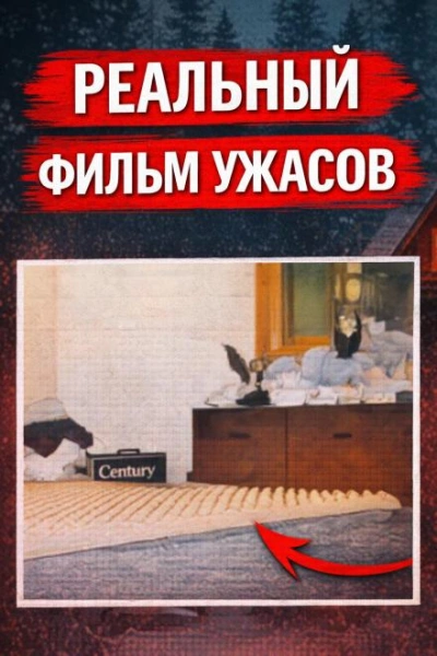 Восемь лет без ответа Слушать аудио книги онлайн без регистрации полностью бесплатно - knigavkarmane.net