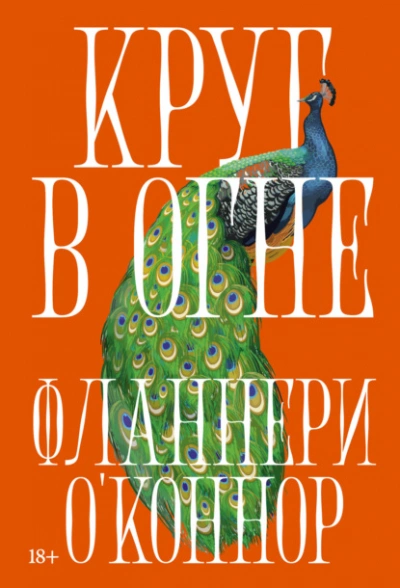 Круг в огне: Рассказы - Фланнери О'Коннор Слушать аудио книги онлайн без регистрации полностью бесплатно - knigavkarmane.net