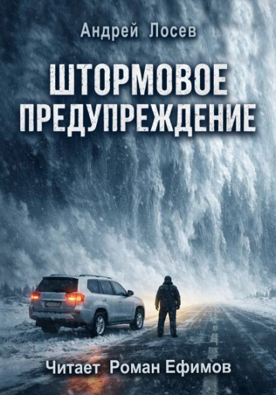Штормовое предупреждение - Андрей Лосев Слушать аудио книги онлайн без регистрации полностью бесплатно - knigavkarmane.net