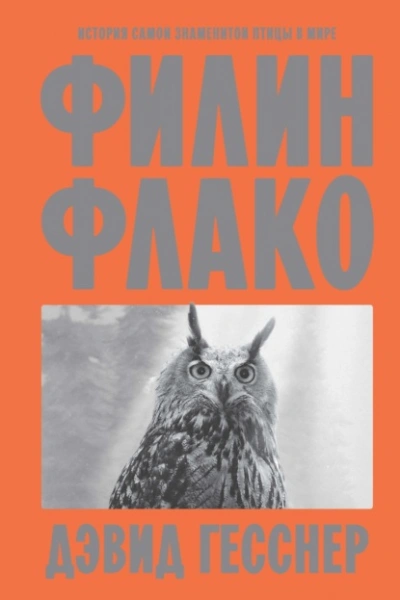 Филин Флако. История самой знаменитой птицы в мире - Дэвид Гесснер Слушать аудио книги онлайн без регистрации полностью бесплатно - knigavkarmane.net