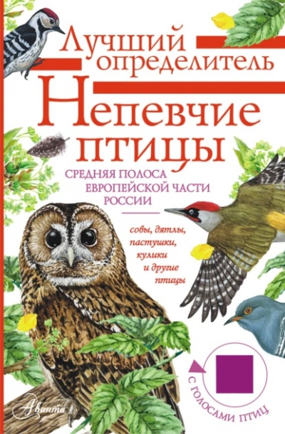Непевчие птицы. Средняя полоса европейской части России. Определитель с голосами птиц - Архипов Владимир Слушать аудио книги онлайн без регистрации полностью бесплатно - knigavkarmane.net