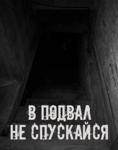 В подвал не спускайся Слушать аудио книги онлайн без регистрации полностью бесплатно - knigavkarmane.net