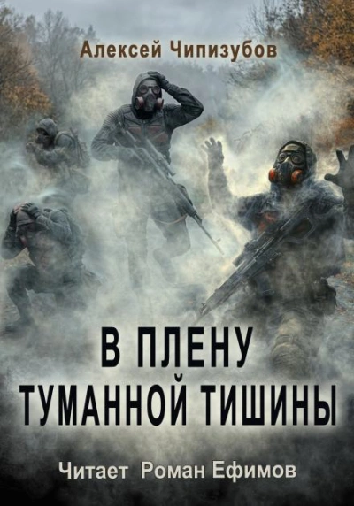 В плену туманной тишины - Чипизубов Алексей Слушать аудио книги онлайн без регистрации полностью бесплатно - knigavkarmane.net