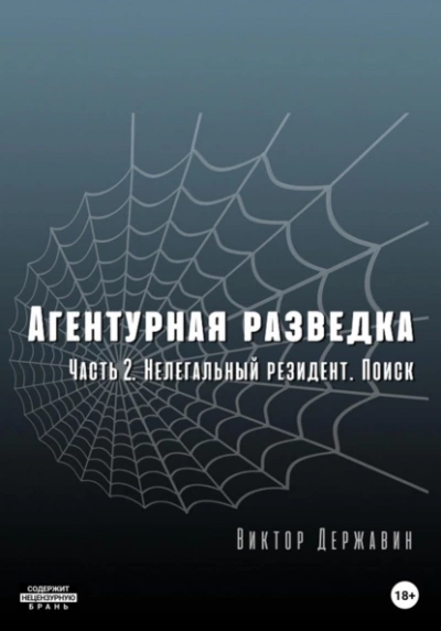 Нелегальный резидент. Поиск - Виктор Державин Слушать аудио книги онлайн без регистрации полностью бесплатно - knigavkarmane.net