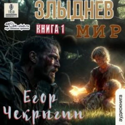 Злыднев мир. Том 1. Книга 1 - Чекрыгин Егор Слушать аудио книги онлайн без регистрации полностью бесплатно - knigavkarmane.net