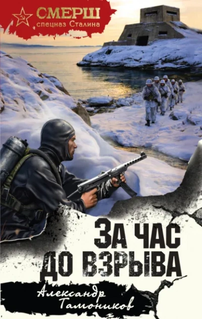 За час до взрыва - Тамоников Александр Слушать аудио книги онлайн без регистрации полностью бесплатно - knigavkarmane.net