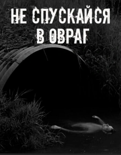 Не спускайся в овраг Слушать аудио книги онлайн без регистрации полностью бесплатно - knigavkarmane.net