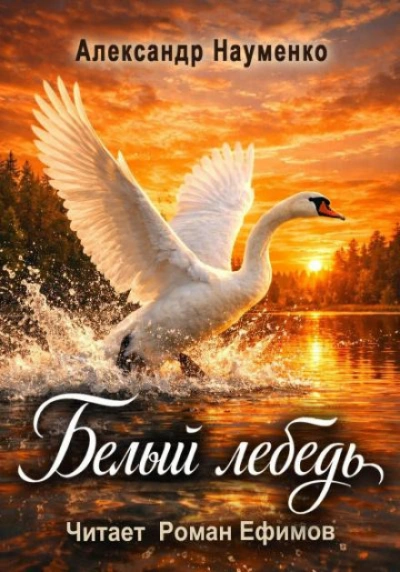 Белый лебедь - Науменко Александр Слушать аудио книги онлайн без регистрации полностью бесплатно - knigavkarmane.net