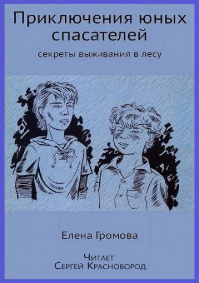 Приключения юных спасателей - Громова Елена Слушать аудио книги онлайн без регистрации полностью бесплатно - knigavkarmane.net