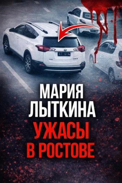 Курьерская ловушка смерти Слушать аудио книги онлайн без регистрации полностью бесплатно - knigavkarmane.net