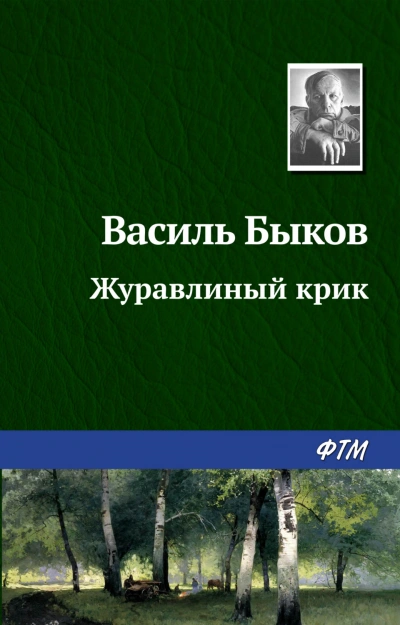 Журавлиный крик - Быков Василий Слушать аудио книги онлайн без регистрации полностью бесплатно - knigavkarmane.net