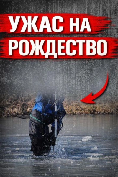 Исчезла в Рождество Слушать аудио книги онлайн без регистрации полностью бесплатно - knigavkarmane.net