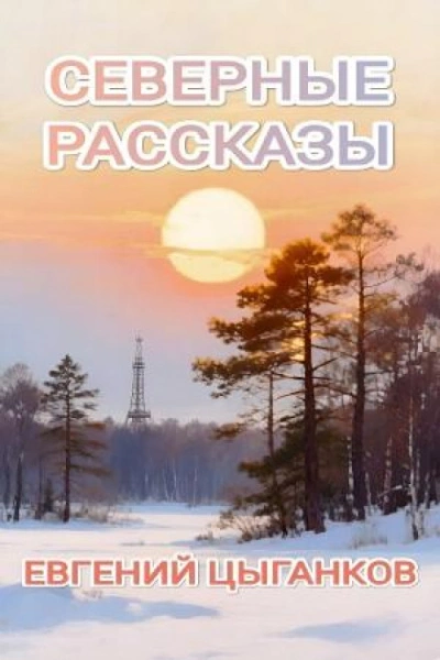Северные рассказы - Цыганков Евгений Слушать аудио книги онлайн без регистрации полностью бесплатно - knigavkarmane.net