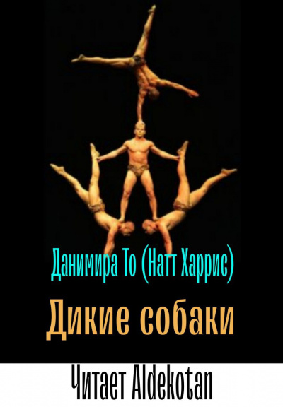 Дикие собаки - То (Натт Харрис) Данимира Слушать аудио книги онлайн без регистрации полностью бесплатно - knigavkarmane.net