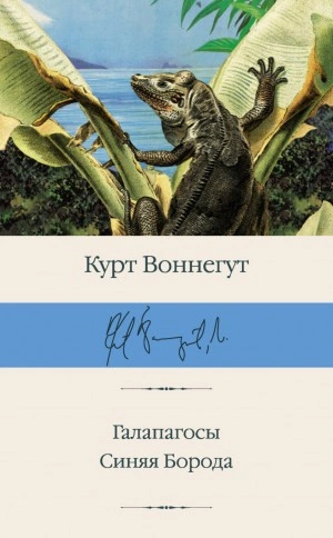 Синяя Борода - Курт Воннегут Слушать аудио книги онлайн без регистрации полностью бесплатно - knigavkarmane.net