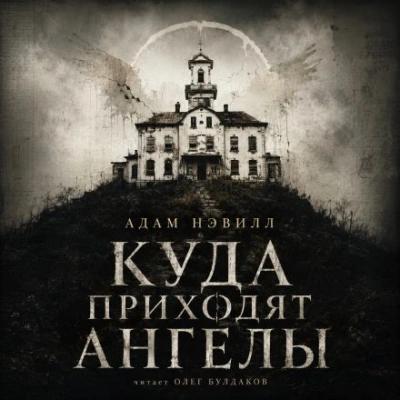 Куда приходят ангелы - Нэвилл Адам Слушать аудио книги онлайн без регистрации полностью бесплатно - knigavkarmane.net