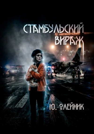 Стамбульский вираж - Олейник Юлия Слушать аудио книги онлайн без регистрации полностью бесплатно - knigavkarmane.net