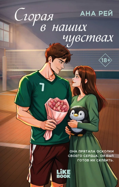 Сгорая в наших чувствах - Рей Ана Слушать аудио книги онлайн без регистрации полностью бесплатно - knigavkarmane.net