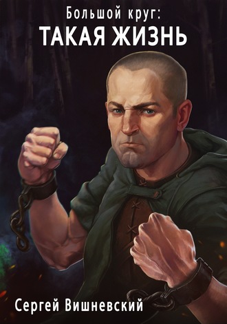 Такая жизнь - Сергей Вишневский Слушать аудио книги онлайн без регистрации полностью бесплатно - knigavkarmane.net