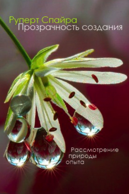 Прозрачность создания - Руперт Спайра Слушать аудио книги онлайн без регистрации полностью бесплатно - knigavkarmane.net