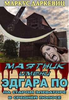 Маятник имени Эдгара По на старом элеваторе в средней полосе - Маркус Даркевиц Слушать аудио книги онлайн без регистрации полностью бесплатно - knigavkarmane.net
