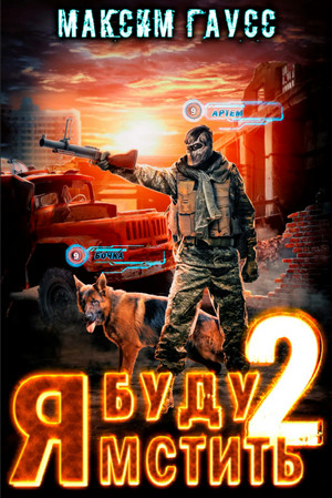 Я буду мстить. Каратель - Максим Гаусс (2) Слушать аудио книги онлайн без регистрации полностью бесплатно - knigavkarmane.net