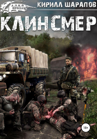 Клинсмер - Кирилл Шарапов Слушать аудио книги онлайн без регистрации полностью бесплатно - knigavkarmane.net