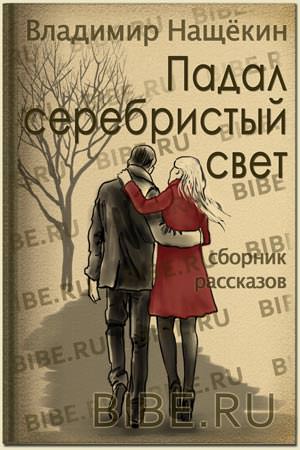 Падал серебристый свет - Владимир Нащекин Слушать аудио книги онлайн без регистрации полностью бесплатно - knigavkarmane.net