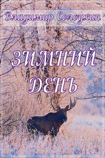 Зимний день - Владимир Солоухин Слушать аудио книги онлайн без регистрации полностью бесплатно - knigavkarmane.net