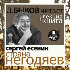 Страна негодяев - Сергей Есенин Слушать аудио книги онлайн без регистрации полностью бесплатно - knigavkarmane.net
