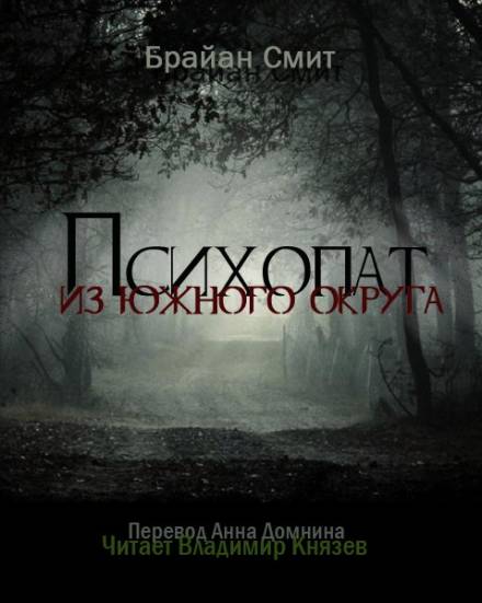 Психопат из южного округа - Брайан Смит Слушать аудио книги онлайн без регистрации полностью бесплатно - knigavkarmane.net